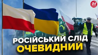 Цинічні вчинки ПОЛЬСЬКИХ протестувальників / Чому мовчить уряд Польщі / Вплив РФ на протести