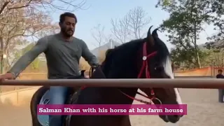 Salman Khan with his horse in their farmhouse 🏠