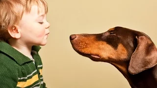 Собаки и дети, лучшие друзья * Hunder og babyer - beste venner