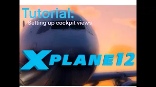 X-Plane 12 Views Tutorial
