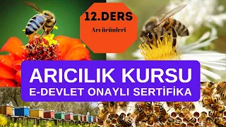 Arıcılık 12 Ders arı ürünleri