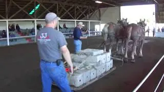 2,900 Lb. Horse Pulling Competition ( Part-2 )