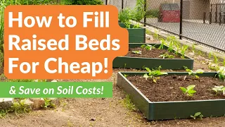 How to Fill Raised Beds for Cheap & Save on Soil Costs