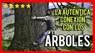 Aprende a CONECTAR con los ARBOLES 🌎🌳🌳