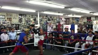 Kobe Bryant Watches Manny Pacquiao Sparring at Wildcard