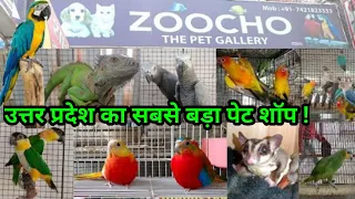 Pet shop in #Lucknow | Best and biggest pet shop in Uttar Pradesh | ZooCho The Pet Gallary