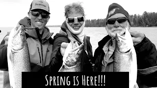 Lake Superior "Gitche Gumee" Spring Trout & Salmon 2023