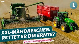 Endlich Ernte - ist der Weizen noch zu retten? | WDR Lokalzeit Land.Schafft.