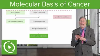 Molecular Basis of Cancer
