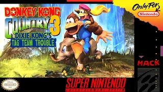 Donkey Kong Country 3 - Tag Team Trouble (Hack)[SNES]