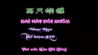 Vietsub: Đôi Bướm - 两只蝴蝶 - liang zhi hu die