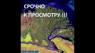 __ РЕКИ ЭТО КОРНИ ДЕРЕВЬЕВ КРЕМНИЕВОЙ ЭРЫ __