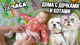 влог: 24 ЧАСА дома с ДОЧКАМИ и КОТАМИ | готовимся к НОВОМУ ГОДУ | приготовили ОЛИВЬЕ