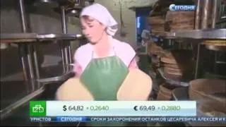 Ситуация в молочной отрасли. Решили уничтожать фальсифицированные продукты. Новости сегодня.