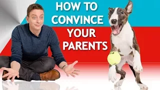 How to Convince Your Parents to Let You Have a Dog!