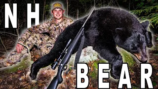2021 New Hampshire Bear Hunt | 6.5 Creedmoor Bear Hunting