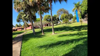 Fazenda só o Tapete em Formosa - GO