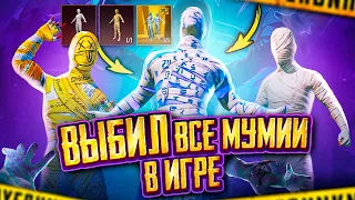 ВЫБИЛ ВСЕ МУМИИ В ИГРЕ - НЕРЕАЛЬНАЯ УДАЧА В PUBG MOBILE 🤯🤩 ЛУЧШАЯ МУМИЯ В ПУБГ МОБАЙЛ