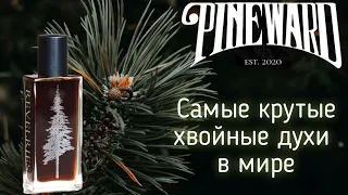 Обзор самых крутых хвойных духов в мире PINEWARD 1 часть