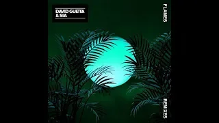 David Guetta Sia - Flames (Miky Remix)