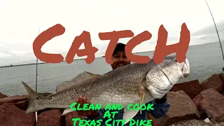 Catching My Dinner and Bull Red at Texas city Dike