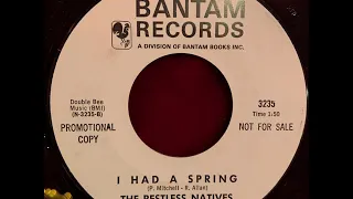 The Restless Natives "I Had A Spring" Bantam Records 3235 ~ Moody Garage