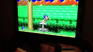 Sonic classic heroes bug