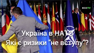 Україна в НАТО: чи є ризик "не вступу"? Від першої особи з Сергієм Дойком