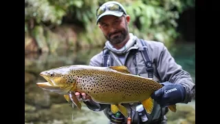 Fly fishing New Zealand 'the DREAM STREAM'