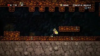 Shapeshifting damsel - Spelunky HD