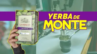 Probando Yerba de Monte | REVIEW