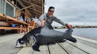 Giant Mekong Catfish & Giant Siamese Carp  with Bkk Fishing Tour- BKKGUY