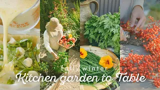 From kitchen garden to table: Fall/Winter - California Seasonal Cooking with backyard harvest