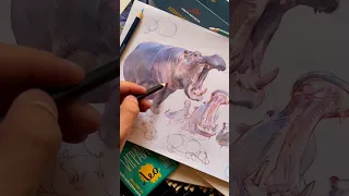 Рисуем бегемотов цветными карандашами VISTA-ARTISTA