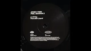 Aphex Twin - p-string (Vinyl Rip)