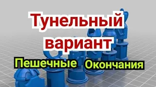 24) Лекция .    Туннельный вариант.           Правило семи.           Пешечные окончания.