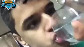 Wie Lamas Wasser Trinken