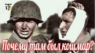 Почему там был кошмар? НКВД против войск СС». военные истории