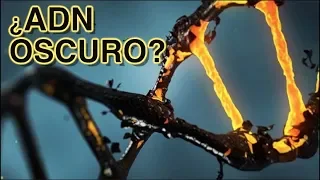 ¿Qué es el ADN oscuro?