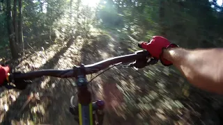 Giant Talon 2 29er  riding hardtail in the woods having fun.