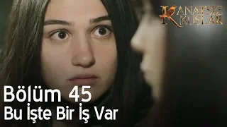 Kanatsız Kuşlar 45. Bölüm - Bu işte bir iş var!