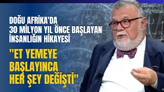 Doğu Afrika'da 30 Milyon Yıl Önce Başlayan İnsanlığın Hikayesi