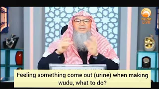 Feel something come out (urine) while making wudu, what to do? - Assim al hakeem
