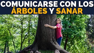 COMUNICARSE, CONECTAR Y SANAR CON LOS ÁRBOLES | SANAR ABRAZANDO UN ÁRBOL | HABLAR CON LOS ARBOLES