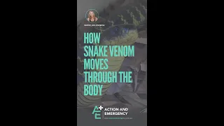 How Snake Venom Moves Through the Body