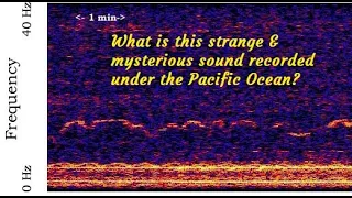 Strange & Unidentified Sounds Recorded Under The Ocean | What are they?