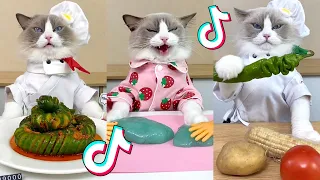 That Little Puff | Cats Make Food 😻 | Kitty God & Others | TikTok 2024 #72