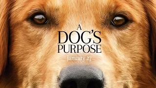 A DOG'S PURPOSE - Double Toasted Audio Review