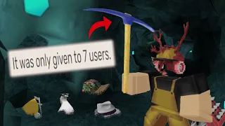 The Rarest Roblox Accessories (That NOBODY Knows About)