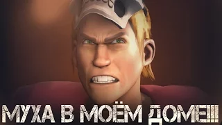 МУХА В МОЁМ ДОМЕ!!! | Рандомный Шусс | [SFM]